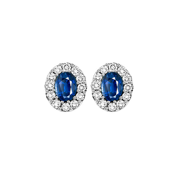 14Kt White Gold Diamond (1/4Ctw) & Sapphire (1/3 Ctw) Earring